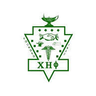 Team Page: Iota Chapter Chi Eta Phi Sorority